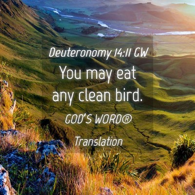 Picture 04 - Deuteronomy 14:11 GW - You may eat any clean - Bible Verse Picture