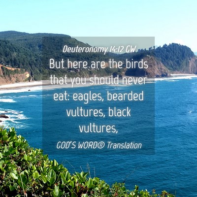Picture 04 - Deuteronomy 14:12 GW - But here are the birds that you should never eat: - Bible Verse Picture