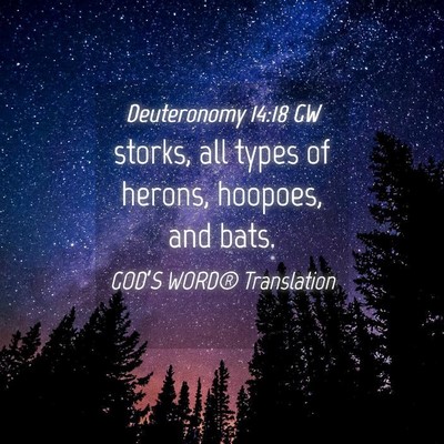 Picture 04 - Deuteronomy 14:18 GW - storks, all types of herons, hoopoes, and - Bible Verse Picture