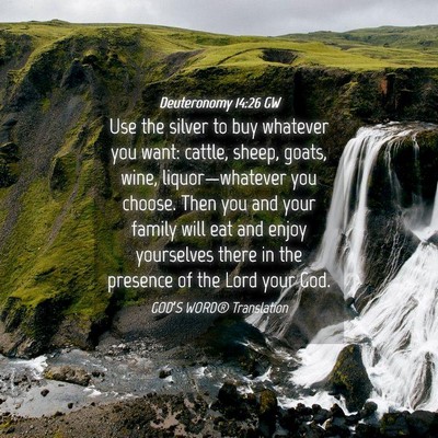 Picture 04 - Deuteronomy 14:26 GW - Use the silver to buy whatever you want: cattle, - Bible Verse Picture