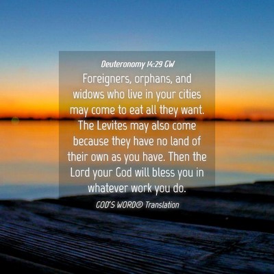 Picture 04 - Deuteronomy 14:29 GW - Foreigners, orphans, and widows who live in your - Bible Verse Picture
