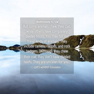 Picture 04 - Deuteronomy 14:7 GW - But some animals chew their cud, while others - Bible Verse Picture
