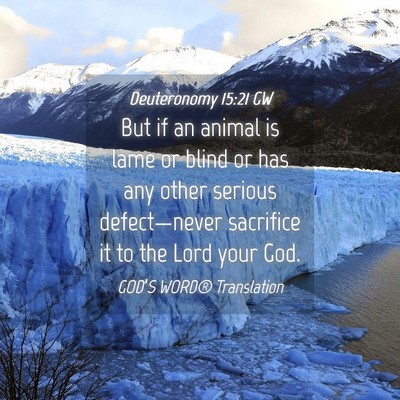 Picture 04 - Deuteronomy 15:21 GW - But if an animal is lame or blind or has any - Bible Verse Picture