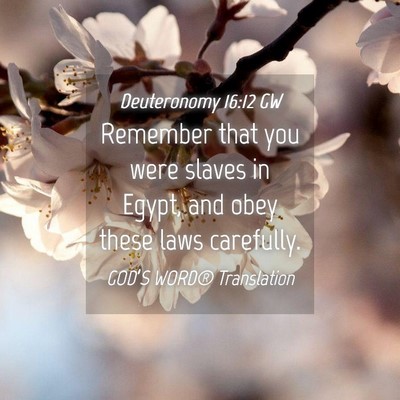 Picture 04 - Deuteronomy 16:12 GW - Remember that you were slaves in Egypt, and obey - Bible Verse Picture