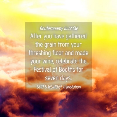 Picture 04 - Deuteronomy 16:13 GW - After you have gathered the grain from your - Bible Verse Picture