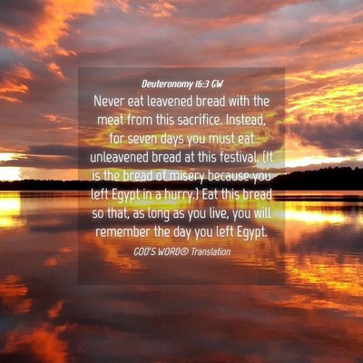 Picture 04 - Deuteronomy 16:3 GW - Never eat leavened bread with the meat from this - Bible Verse Picture