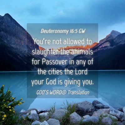 Picture 04 - Deuteronomy 16:5 GW - You’re not allowed to slaughter the animals for - Bible Verse Picture