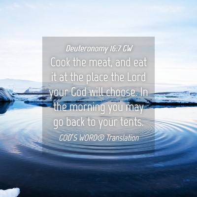 Picture 04 - Deuteronomy 16:7 GW - Cook the meat, and eat it at the place the Lord - Bible Verse Picture