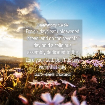 Picture 04 - Deuteronomy 16:8 GW - For six days eat unleavened bread, and on the - Bible Verse Picture