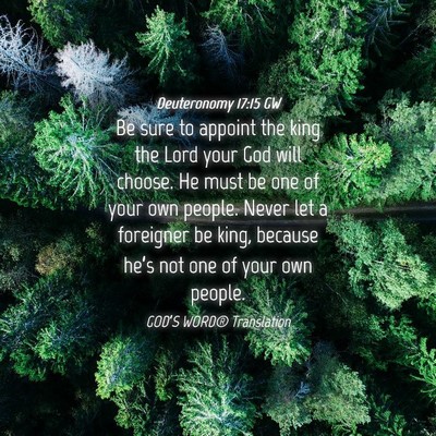 Picture 04 - Deuteronomy 17:15 GW - Be sure to appoint the king the Lord your God - Bible Verse Picture