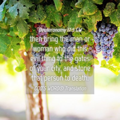 Picture 04 - Deuteronomy 17:5 GW - then bring the man or woman who did this evil - Bible Verse Picture