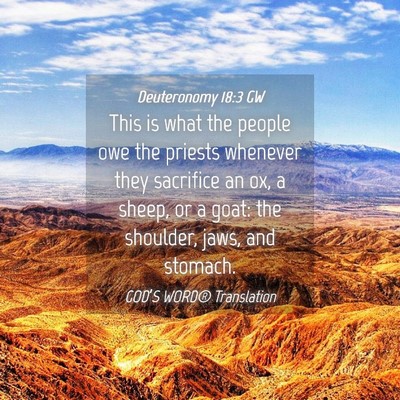 Picture 04 - Deuteronomy 18:3 GW - This is what the people owe the priests whenever - Bible Verse Picture