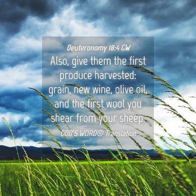 Picture 04 - Deuteronomy 18:4 GW - Also, give them the first produce harvested: - Bible Verse Picture