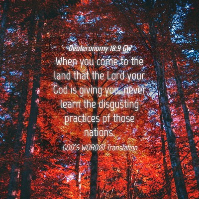 Picture 04 - Deuteronomy 18:9 GW - When you come to the land that the Lord your God - Bible Verse Picture