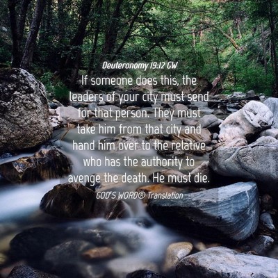Picture 04 - Deuteronomy 19:12 GW - If someone does this, the leaders of your city - Bible Verse Picture