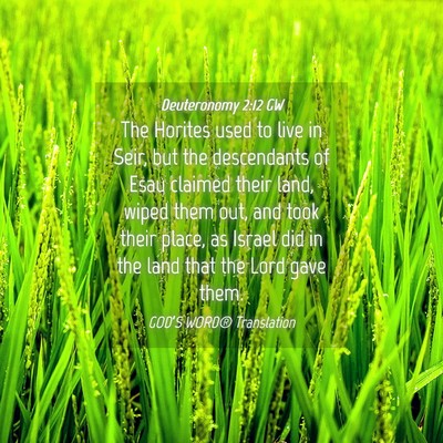 Picture 04 - Deuteronomy 2:12 GW - The Horites used to live in Seir, but the - Bible Verse Picture