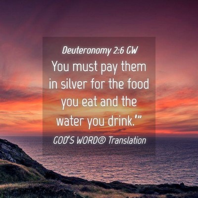 Picture 04 - Deuteronomy 2:6 GW - You must pay them in silver for the food you eat - Bible Verse Picture