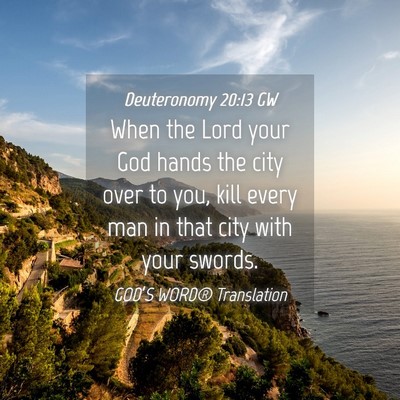 Picture 04 - Deuteronomy 20:13 GW - When the Lord your God hands the city over to - Bible Verse Picture