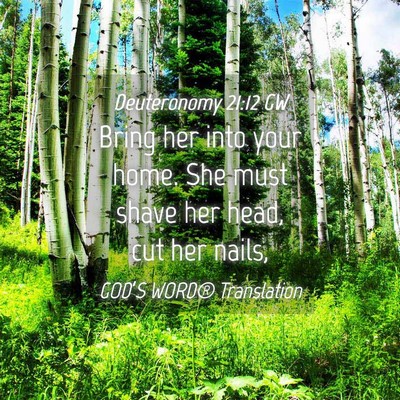 Picture 04 - Deuteronomy 21:12 GW - Bring her into your home. She must shave her - Bible Verse Picture