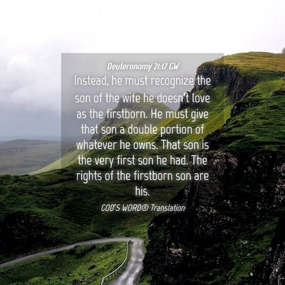 Picture 04 - Deuteronomy 21:17 GW - Instead, he must recognize the son of the wife he - Bible Verse Picture