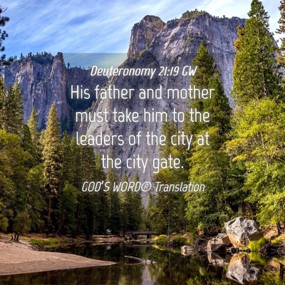 Picture 04 - Deuteronomy 21:19 GW - His father and mother must take him to the - Bible Verse Picture