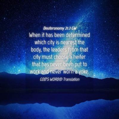 Picture 04 - Deuteronomy 21:3 GW - When it has been determined which city is nearest - Bible Verse Picture
