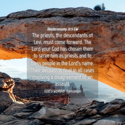 Picture 04 - Deuteronomy 21:5 GW - The priests, the descendants of Levi, must come - Bible Verse Picture