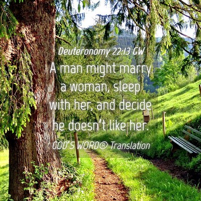 Picture 04 - Deuteronomy 22:13 GW - A man might marry a woman, sleep with her, and - Bible Verse Picture