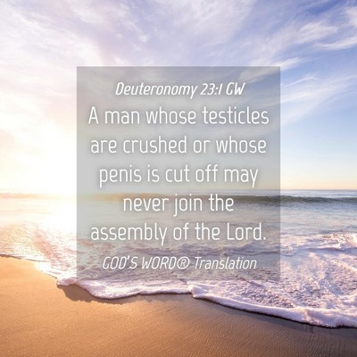 Picture 04 - Deuteronomy 23:1 GW - A man whose testicles are crushed or whose penis - Bible Verse Picture