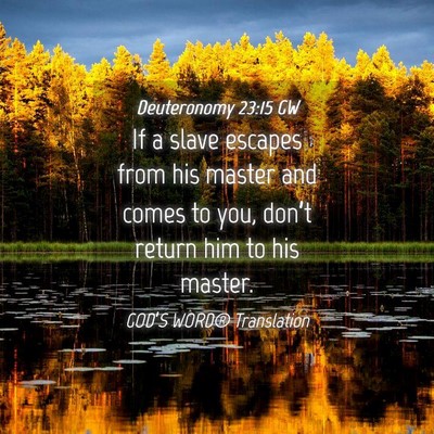 Picture 04 - Deuteronomy 23:15 GW - If a slave escapes from his master and comes to - Bible Verse Picture