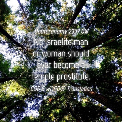 Picture 04 - Deuteronomy 23:17 GW - No Israelite man or woman should ever become a - Bible Verse Picture