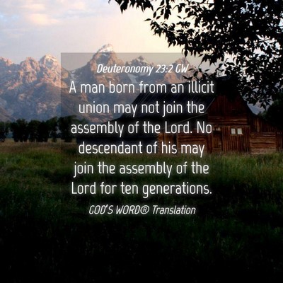 Picture 04 - Deuteronomy 23:2 GW - A man born from an illicit union may not join the - Bible Verse Picture