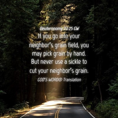 Picture 04 - Deuteronomy 23:25 GW - If you go into your neighbor’s grain field, you - Bible Verse Picture