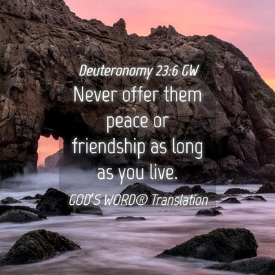Picture 04 - Deuteronomy 23:6 GW - Never offer them peace or friendship as long as - Bible Verse Picture