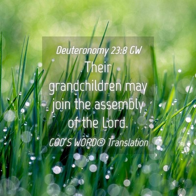 Picture 04 - Deuteronomy 23:8 GW - Their grandchildren may join the assembly of the - Bible Verse Picture