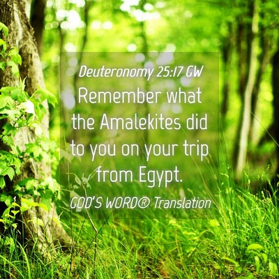 Picture 04 - Deuteronomy 25:17 GW - Remember what the Amalekites did to you on your - Bible Verse Picture