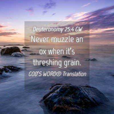 Picture 04 - Deuteronomy 25:4 GW - Never muzzle an ox when it’s threshing - Bible Verse Picture