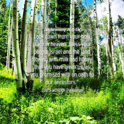 Picture 04 - Deuteronomy 26:15 GW - Look down from your holy place in heaven. Bless - Bible Verse Picture