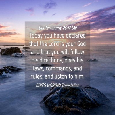 Picture 04 - Deuteronomy 26:17 GW - Today you have declared that the Lord is your God - Bible Verse Picture