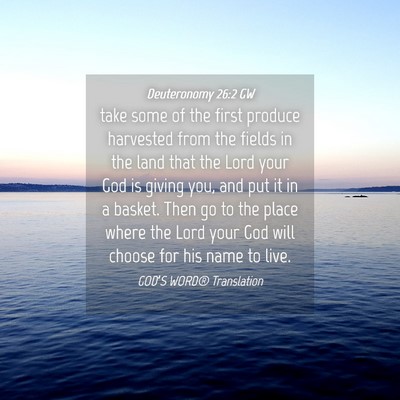 Picture 04 - Deuteronomy 26:2 GW - take some of the first produce harvested from the - Bible Verse Picture