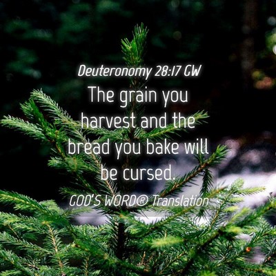 Picture 04 - Deuteronomy 28:17 GW - The grain you harvest and the bread you bake will - Bible Verse Picture