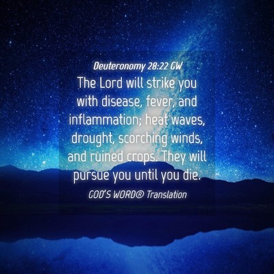 Picture 04 - Deuteronomy 28:22 GW - The Lord will strike you with disease, fever, and - Bible Verse Picture