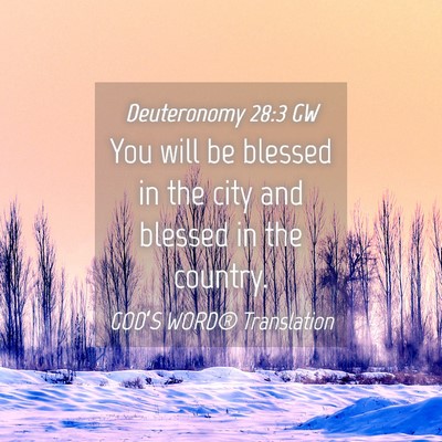 Picture 04 - Deuteronomy 28:3 GW - You will be blessed in the city and blessed in - Bible Verse Picture