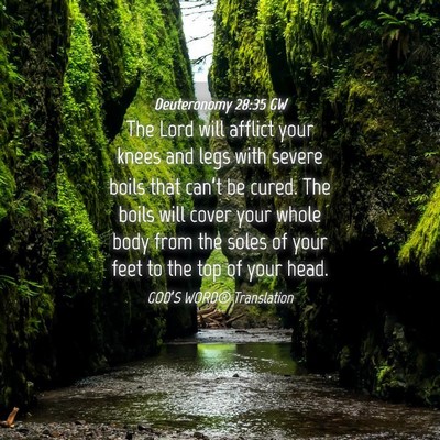 Picture 04 - Deuteronomy 28:35 GW - The Lord will afflict your knees and legs with - Bible Verse Picture