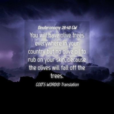 Picture 04 - Deuteronomy 28:40 GW - You will have olive trees everywhere in your - Bible Verse Picture