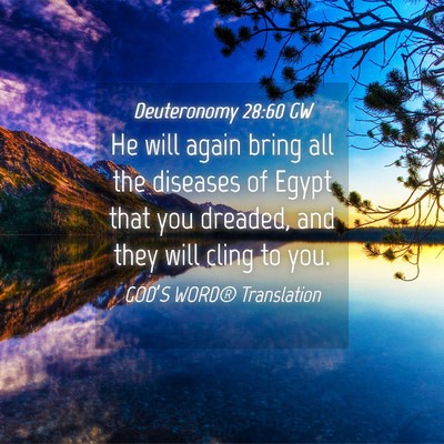 Picture 04 - Deuteronomy 28:60 GW - He will again bring all the diseases of Egypt - Bible Verse Picture
