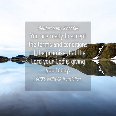 Picture 04 - Deuteronomy 29:12 GW - You are ready to accept the terms and conditions - Bible Verse Picture