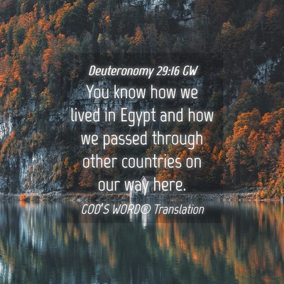 Picture 04 - Deuteronomy 29:16 GW - You know how we lived in Egypt and how we passed - Bible Verse Picture