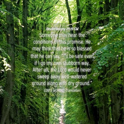 Picture 04 - Deuteronomy 29:19 GW - Someone may hear the conditions of this promise. - Bible Verse Picture
