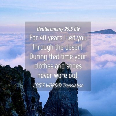 Picture 04 - Deuteronomy 29:5 GW - For 40 years I led you through the desert. During - Bible Verse Picture